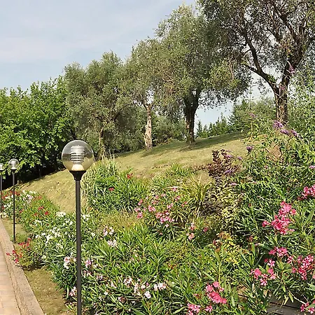 Camelia Manerba del Garda